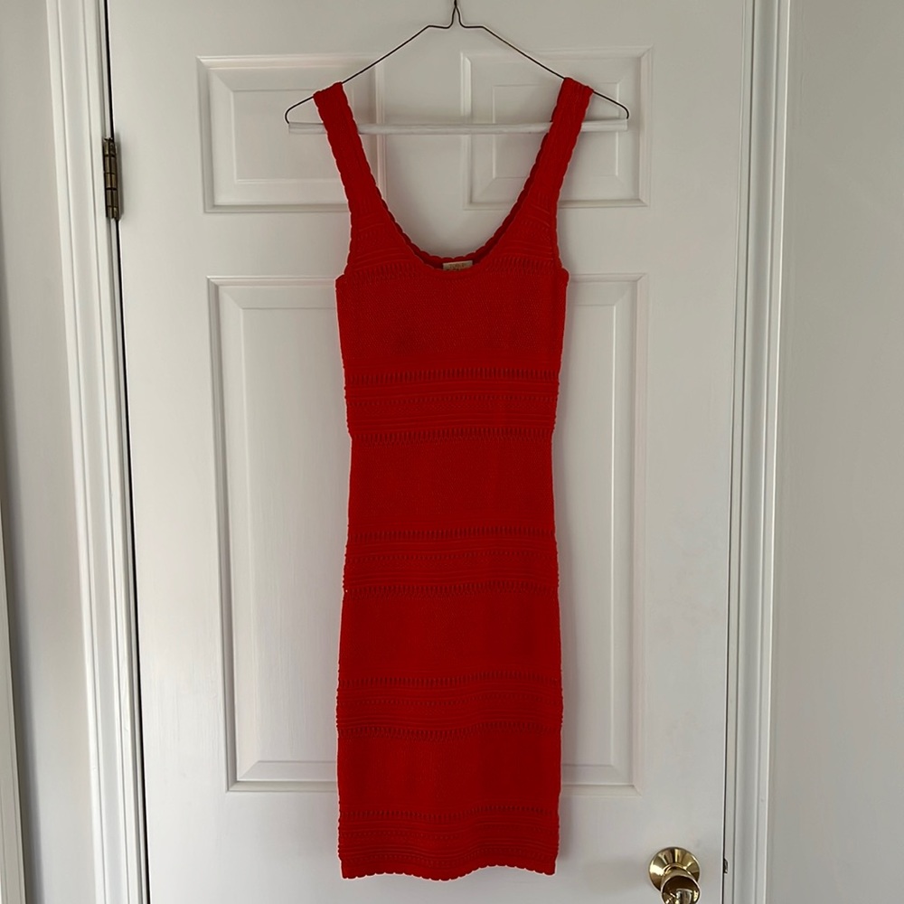 Torn by Ronny Kobo Bodycon Mini Dress
